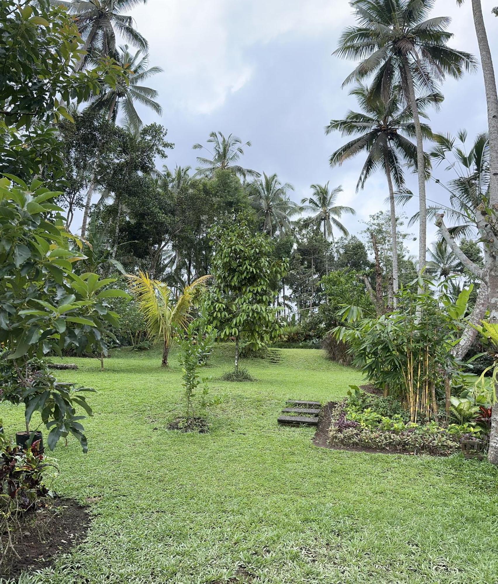 Kaja Villa Ubud  Exterior photo